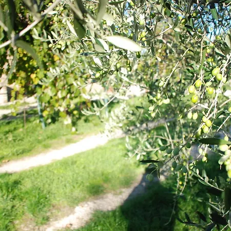 Gospodarstwo agroturystyczne Le Volte